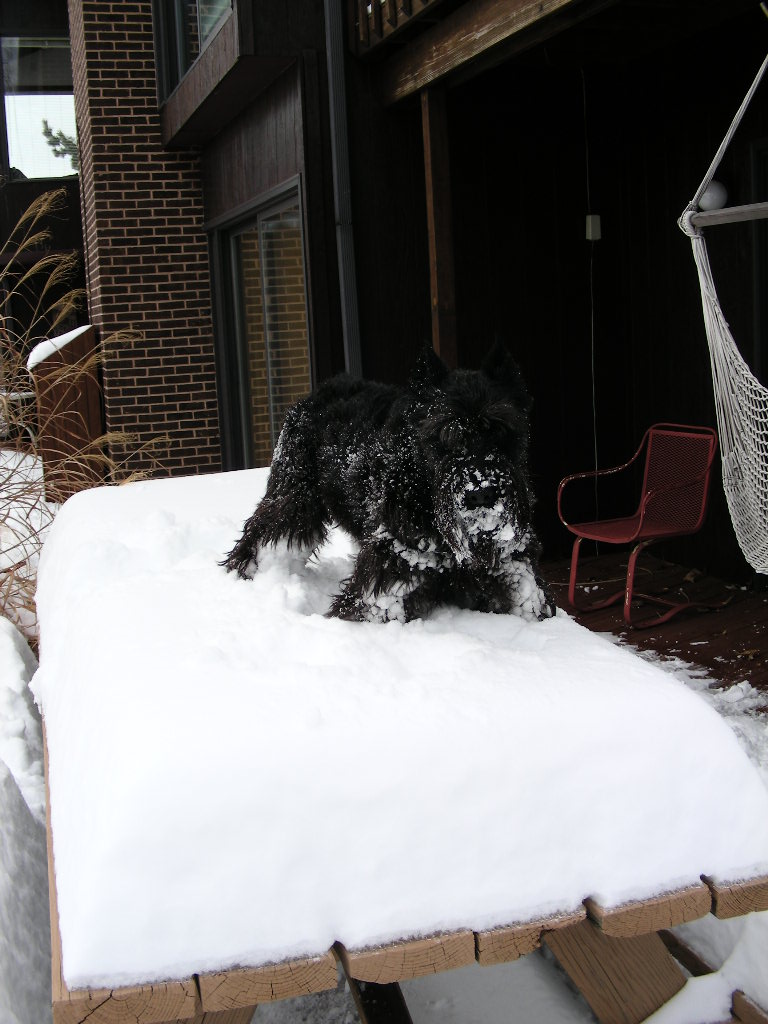 slideshow image