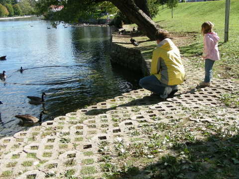 slideshow image