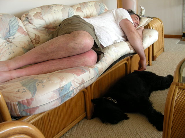 slideshow image