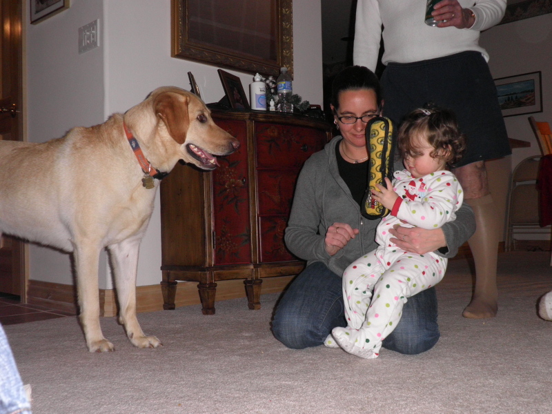 slideshow image