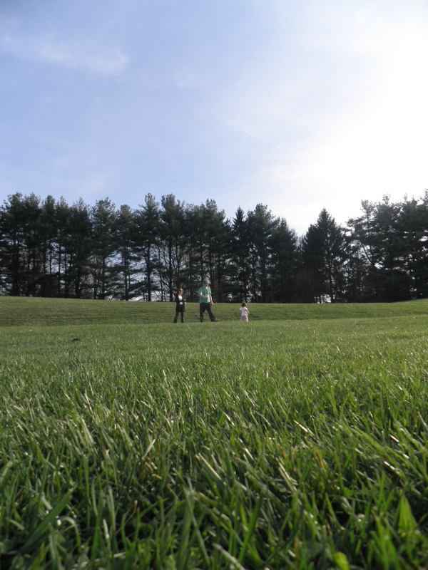 slideshow image