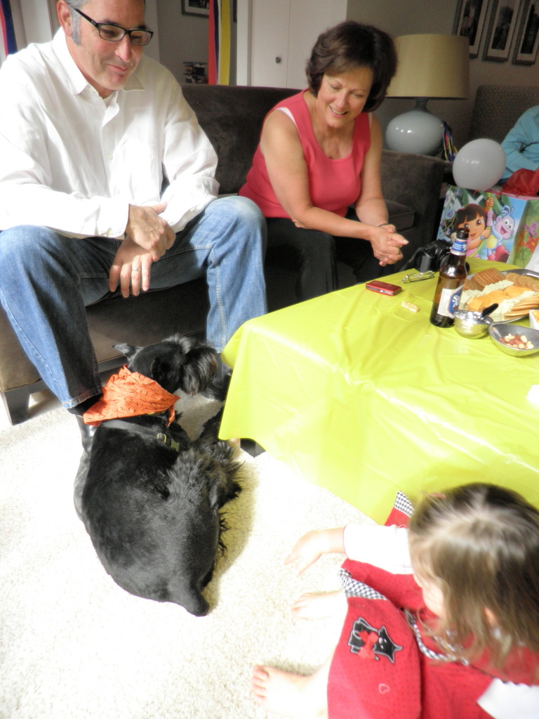 slideshow image