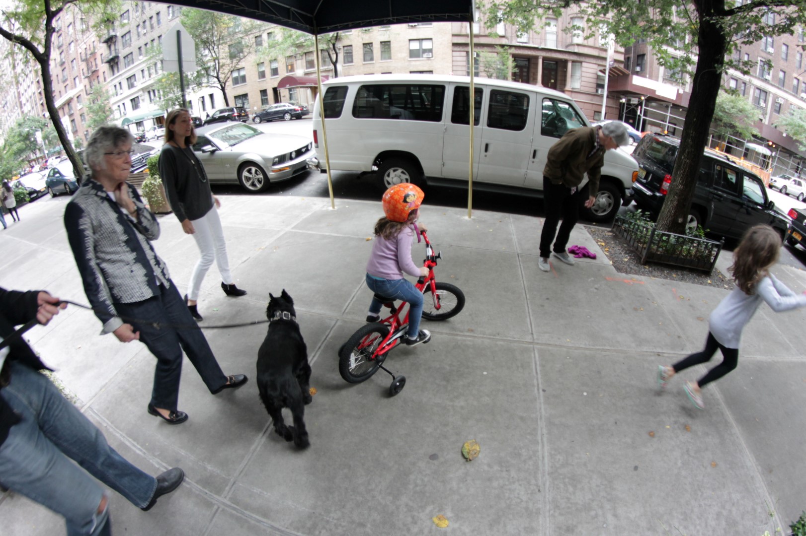 slideshow image